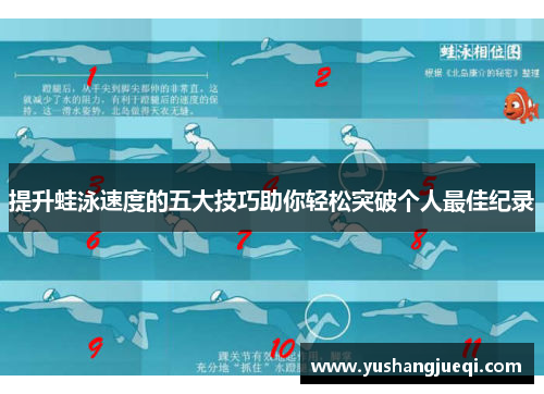 提升蛙泳速度的五大技巧助你轻松突破个人最佳纪录