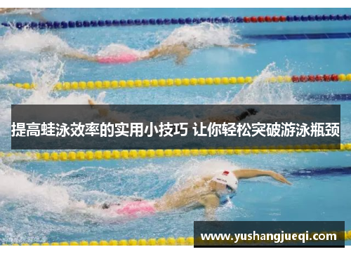 提高蛙泳效率的实用小技巧 让你轻松突破游泳瓶颈