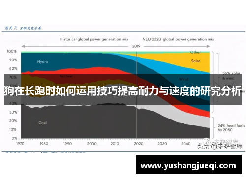 狗在长跑时如何运用技巧提高耐力与速度的研究分析