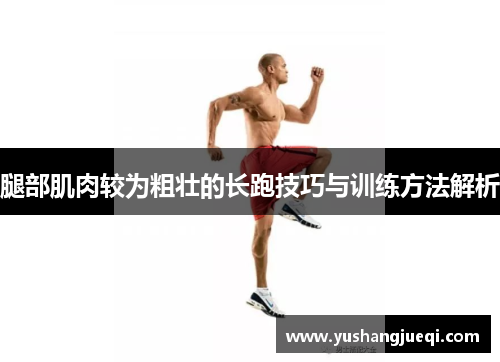 腿部肌肉较为粗壮的长跑技巧与训练方法解析