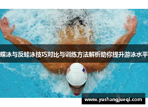 蝶泳与反蛙泳技巧对比与训练方法解析助你提升游泳水平